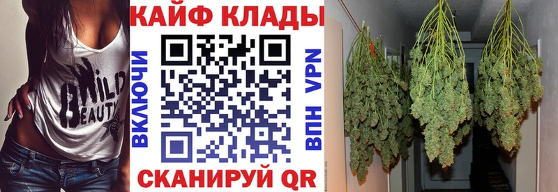 Как найти закладки Павловская A PVP  Меф  Codein  Гашиш  МАРИХУАНА  Псилоцибиновые грибы  COCAIN  АМФ 