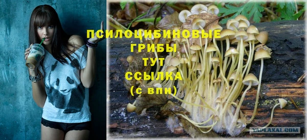 спайс Баксан