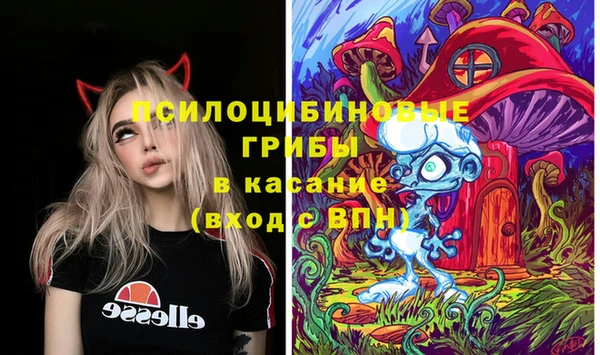 спайс Баксан