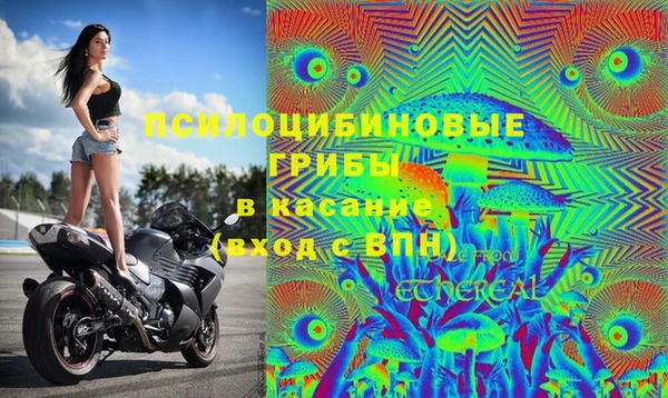 спайс Баксан