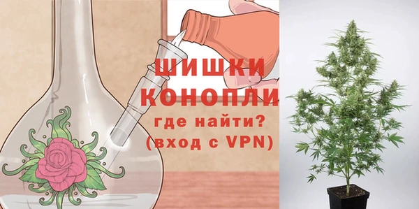 спайс Баксан