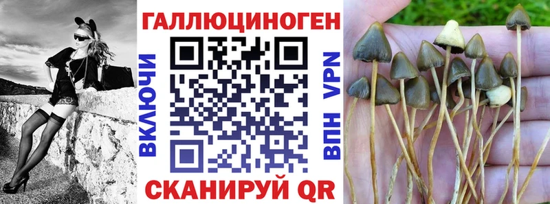 купить наркотики цена  Павловская  мориарти телеграм  Галлюциногенные грибы мицелий 